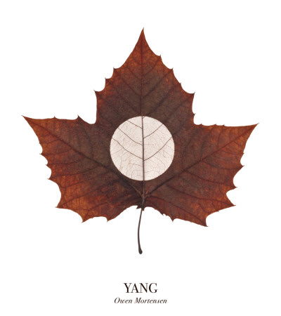 Yang by Owen Mortensen Pricing Limited Edition Print image