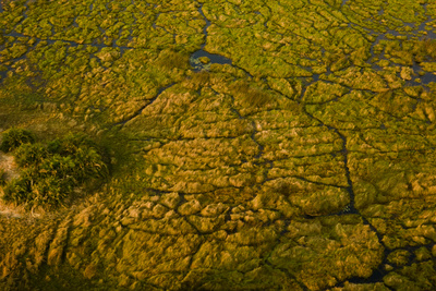 Aerial View Of Duba Plains Marshes by Beverly Joubert Pricing Limited Edition Print image