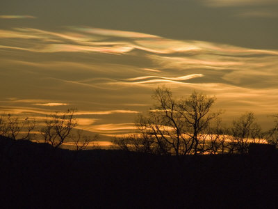 Orange Sunset With Rippling Clouds, Sillhouetted Bare Winter Trees by Stephen Sharnoff Pricing Limited Edition Print image