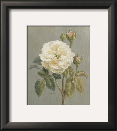 Heirloom White Rose by Danhui Nai Pricing Limited Edition Print image