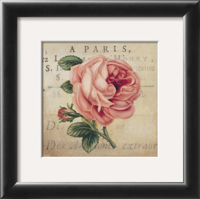 Blooming Paris I by Kimberly Poloson Pricing Limited Edition Print image