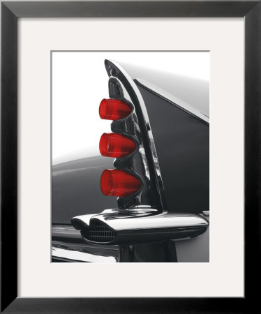 Gray Tailfin by Matt Mccarthy Pricing Limited Edition Print image