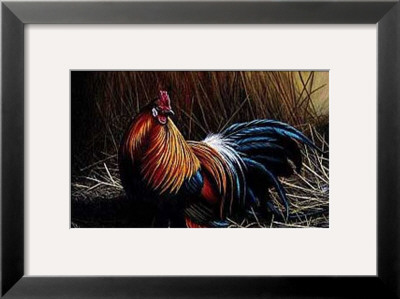 The Cockerel by Jeremy Paul Pricing Limited Edition Print image