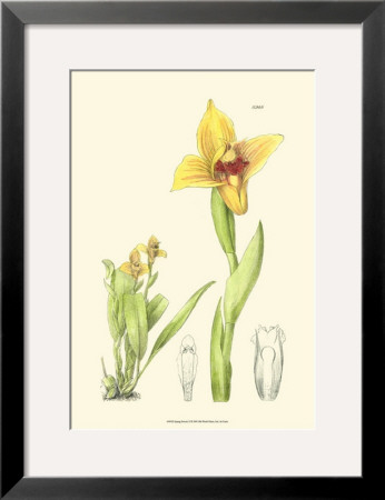 Spring Bounty Ii by Samuel Curtis Pricing Limited Edition Print image