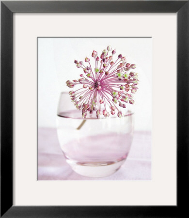 Floressence by Amelie Vuillon Pricing Limited Edition Print image
