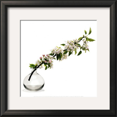Branche De Pommier by Stephane De Bourgies Pricing Limited Edition Print image