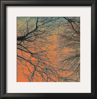 Sunset Forest Iii by M.J. Lew Pricing Limited Edition Print image