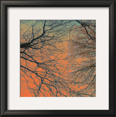 Sunset Forest Iii by M.J. Lew Pricing Limited Edition Print image