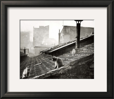 Cats On A Roof, Paris I by Edouard Boubat Pricing Limited Edition Print image