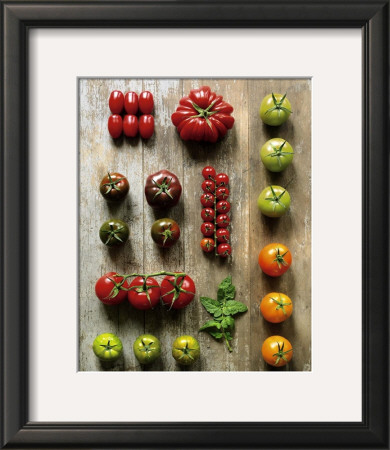 Various Tamatoes by Camille & Gaillard Pricing Limited Edition Print image