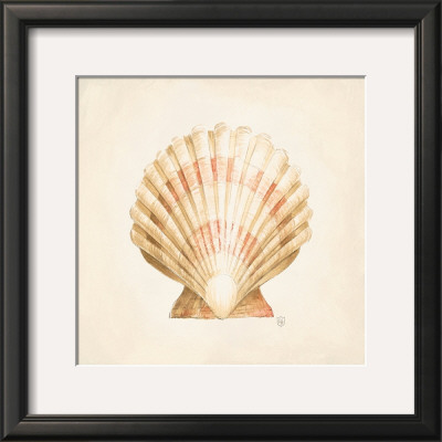 Seashell Discovery by Lauren Hamilton Pricing Limited Edition Print image