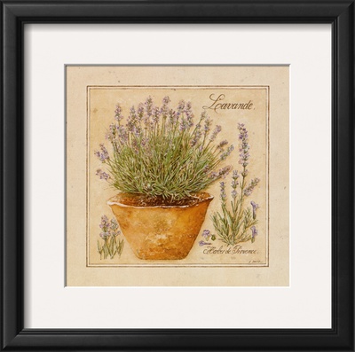 Herbes De Provence, Lavande by Pascal Cessou Pricing Limited Edition Print image