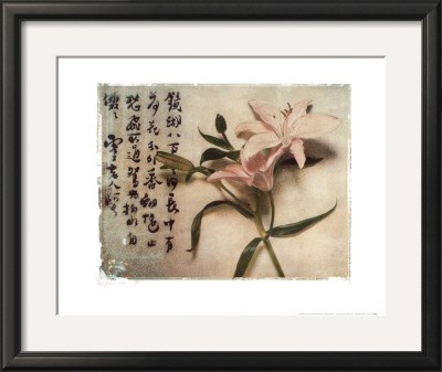 Oriental Lily by Julie Nightingale Pricing Limited Edition Print image