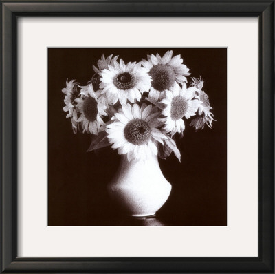 Sunflowers by Kristin Cooke Pricing Limited Edition Print image