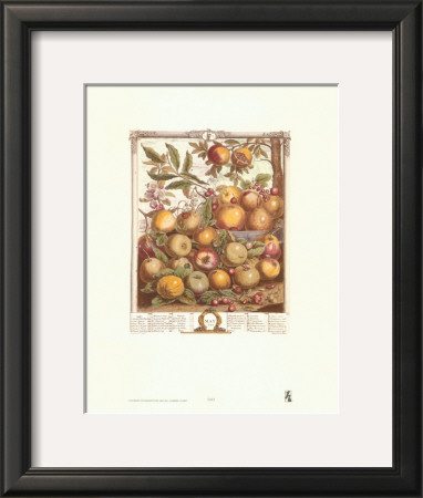 Twelve Months Of Fruits, 1732, May by Robert Furber Pricing Limited Edition Print image
