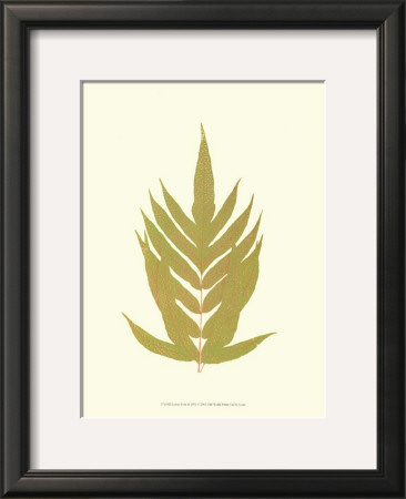 Lowes Fern Ii by Edward Lowe Pricing Limited Edition Print image