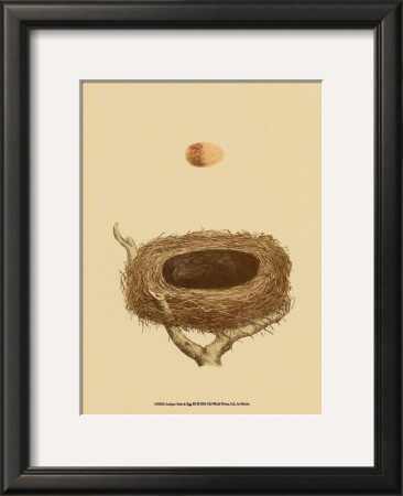 Antique Nest And Egg Iii by Reverend Francis O. Morris Pricing Limited Edition Print image