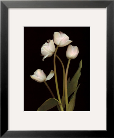 Spring Song Ii by S. G. Rose Pricing Limited Edition Print image