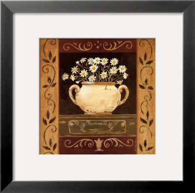 Chamomile by Jo Moulton Pricing Limited Edition Print image