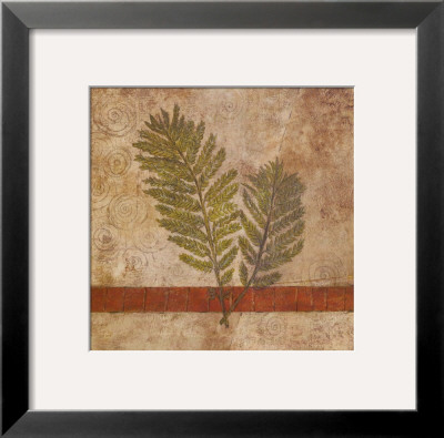 Nature Study I by John Kime Pricing Limited Edition Print image