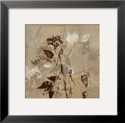 Graphic Beauty I by Jennifer Hollack Pricing Limited Edition Print image