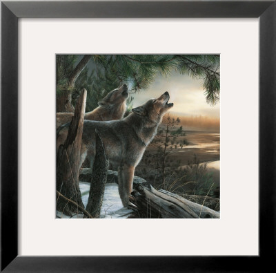 Call Of The Wild by Kevin Daniel Pricing Limited Edition Print image