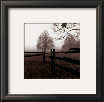 Fence In The Mist by Harold Silverman Pricing Limited Edition Print image
