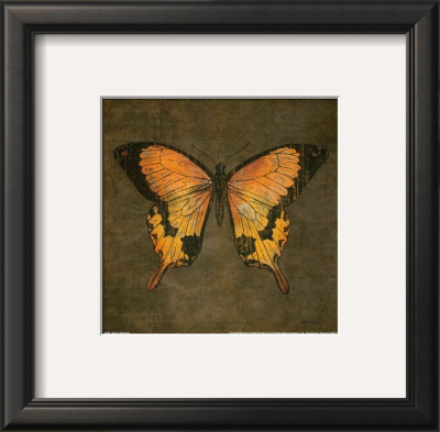 Mocha Butterfly by Katie Pertiet Pricing Limited Edition Print image