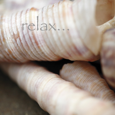 Relax by Nicole Katano Pricing Limited Edition Print image