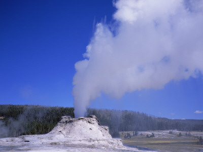 Castle Geyser Erupting, Yellowstone National Park, Wyoming, Usa by David Kjaer Pricing Limited Edition Print image