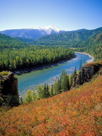 Autumn Colours And Katun River, Katunsky Zapovednik, Altai Mountains, Russia by Igor Shpilenok Pricing Limited Edition Print image