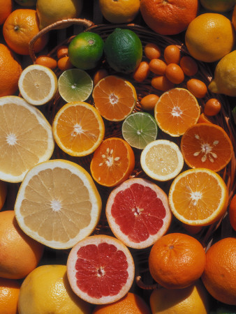 Citrus Fruits, Orange, Grapefruit, Lemon, Sliced In Half Showing Different Colours, Europe by Reinhard Pricing Limited Edition Print image