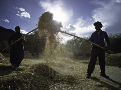 People Working, Tibet by Michael Brown Pricing Limited Edition Print image