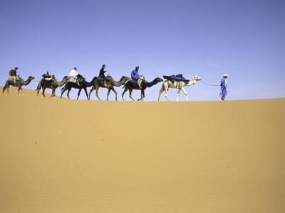 Camels In Caravan, Morocco by Michael Brown Pricing Limited Edition Print image