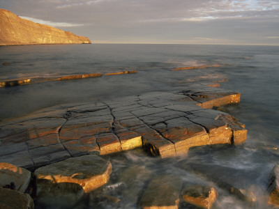 Sunset Light Reflecting On Headland And Rocks Of A Wave-Cut Platform At Kimmeridge Bay, Dorset by Adam Burton Pricing Limited Edition Print image