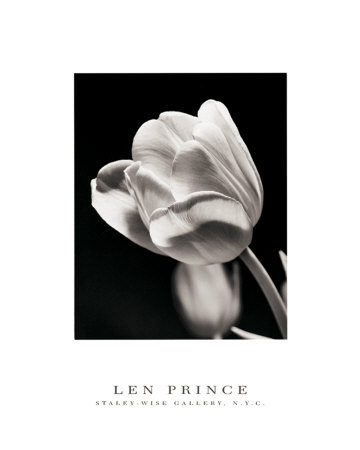 Tulip by Len Prince Pricing Limited Edition Print image