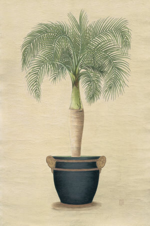 Sovereign Palm Ii by Iksel Pricing Limited Edition Print image