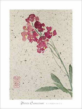 Euphorbia by Peter Cavaciuti Pricing Limited Edition Print image