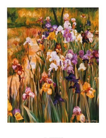 Iris Pathway by Marilyn Hageman Pricing Limited Edition Print image