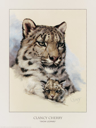 Snow Leopard by Clancy Cherry Pricing Limited Edition Print image