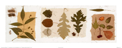 Leaf Collage Ii by Carol Robinson Pricing Limited Edition Print image