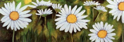 Daisies by Alexandra Terramorsi Pricing Limited Edition Print image