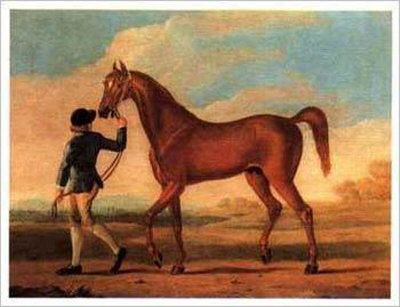 Racehorse Regulus by R. Roper Pricing Limited Edition Print image