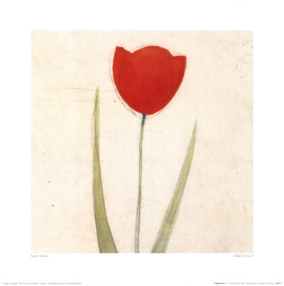 Tulip Series V by Scott Olson Pricing Limited Edition Print image