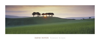 Somerset Sunrise by David Noton Pricing Limited Edition Print image
