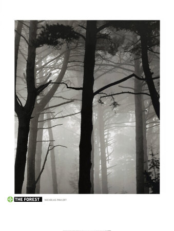 The Forest by Nicholas Pavloff Pricing Limited Edition Print image