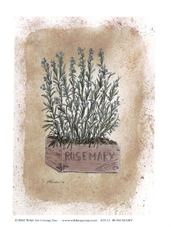 Rosemary by Consuelo Gamboa Pricing Limited Edition Print image