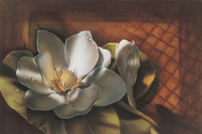 Magnolia Ii by Noah Pricing Limited Edition Print image
