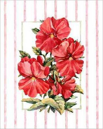 Striped Botanical Red Geraniums by Jerianne Van Dijk Pricing Limited Edition Print image