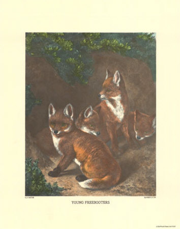 Young Freebooters by Samuel James Carter Pricing Limited Edition Print image